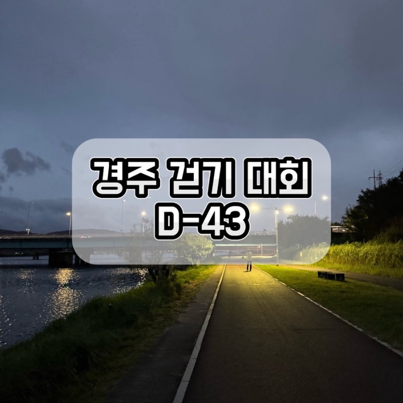 경주 신라의 달밤 걷기 대회 D-43｜오늘도 태화강 걷기