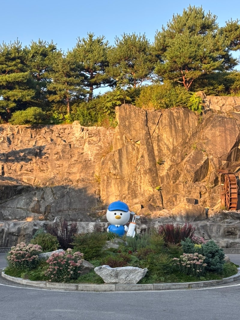 충북 골프존카운티 진천 라운딩 후기