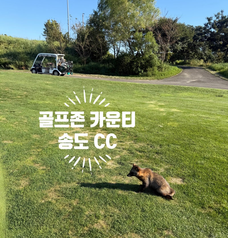골프존 카운티 송도 -가을 라운딩 솔직 후기