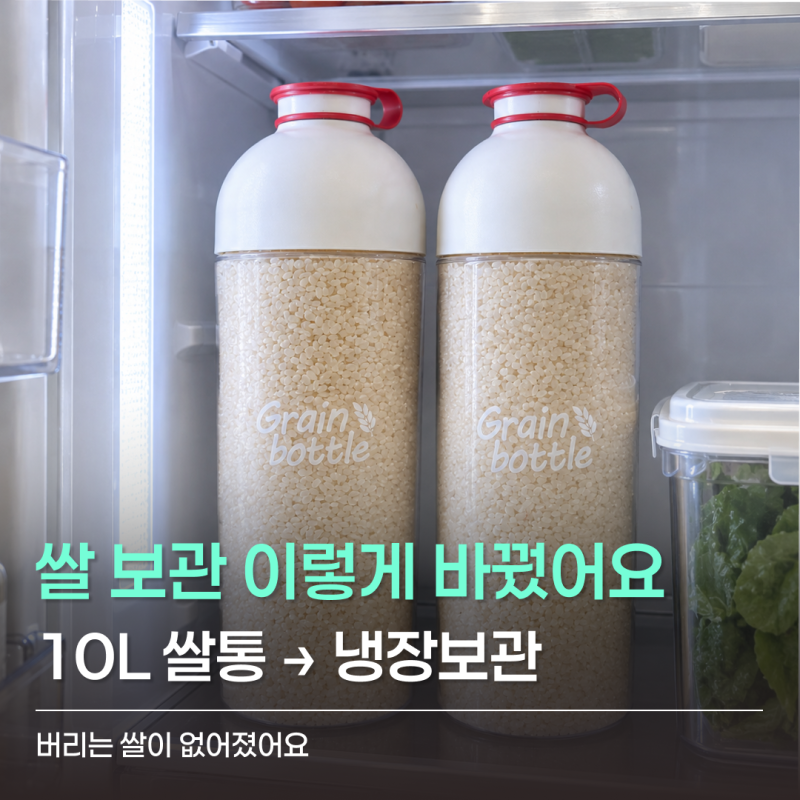 쌀벌레와 곰팡이 생긴 뒤 바꾼 쌀 보관방법, 냉장보관 후기