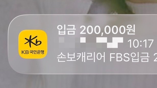 캐리어 파손 보상 받는 방법 : 항공사 보상, 여행자 보험
