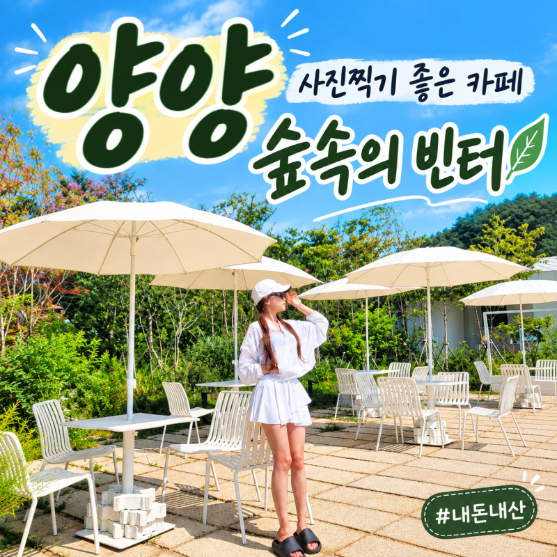 양양 카페 추천｜사진찍기 좋은 대형 정원카페 숲속의 빈터
