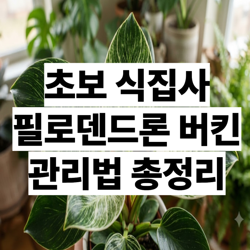 잎 하나에 몇십만원? 초보 식집사 사로잡은 필로덴드론 버킨