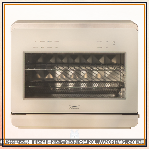 풀무원건강생활 스팀쿡 마스터 플러스 듀얼스팀 오븐 20L 구매 전 검토사항인가요