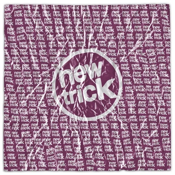 ROSE 로제 - new trick 뉴트릭 [가사해석 번역 뜻 의미] (2026년)