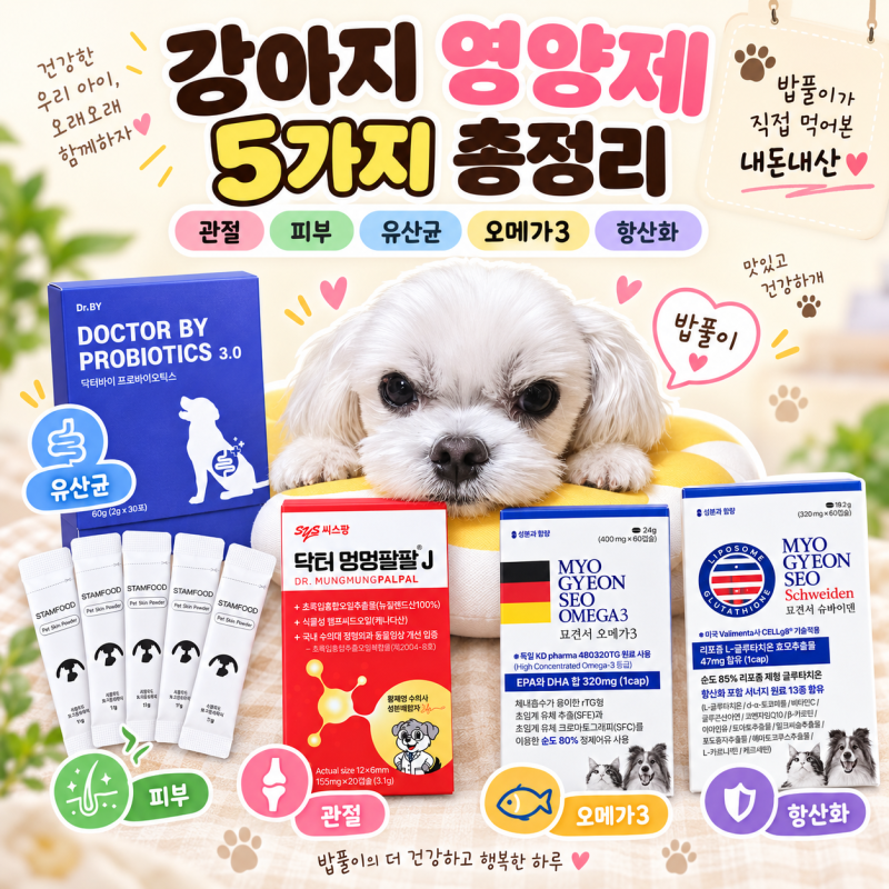 밥풀이가 직접 먹어본 강아지 영양제 5가지 총정리