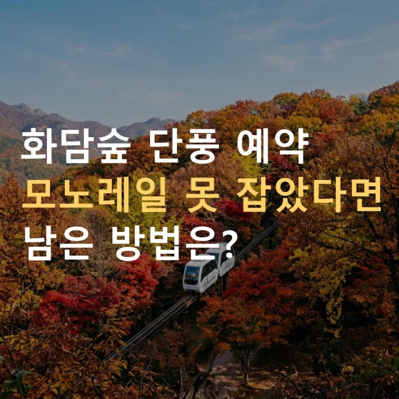 화담숲 예약방법, 단풍철 10월 23일부터 ｜ 모노레일 예약 못하면 현장발권