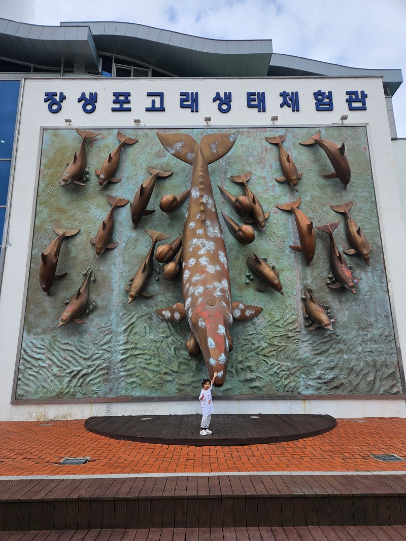 주말 나들이 추천! 울산 장생포고래박물관 입장료 할인부터 모노레일 팁까지