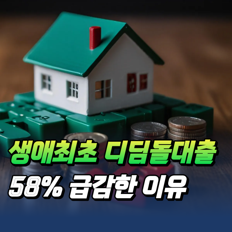 생애최초 디딤돌대출 58% 급감, 이유는 바로 이것!!
