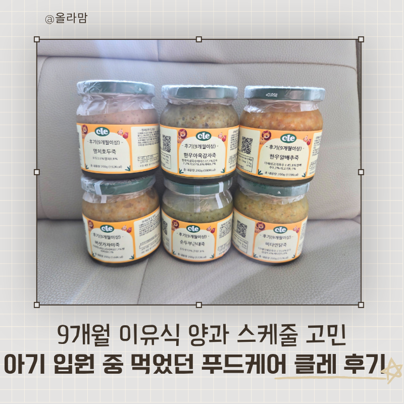 9개월 이유식 양과 스케줄 고민, 아기 입원 중 먹었던 푸드케어 클레 후기