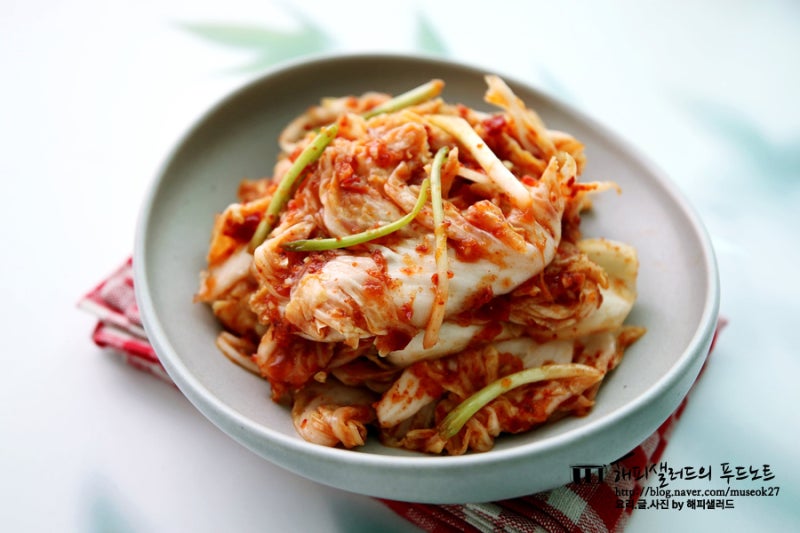 알배추겉절이 레시피 양념 알배기 배추겉절이 알배추김치 만드는법
