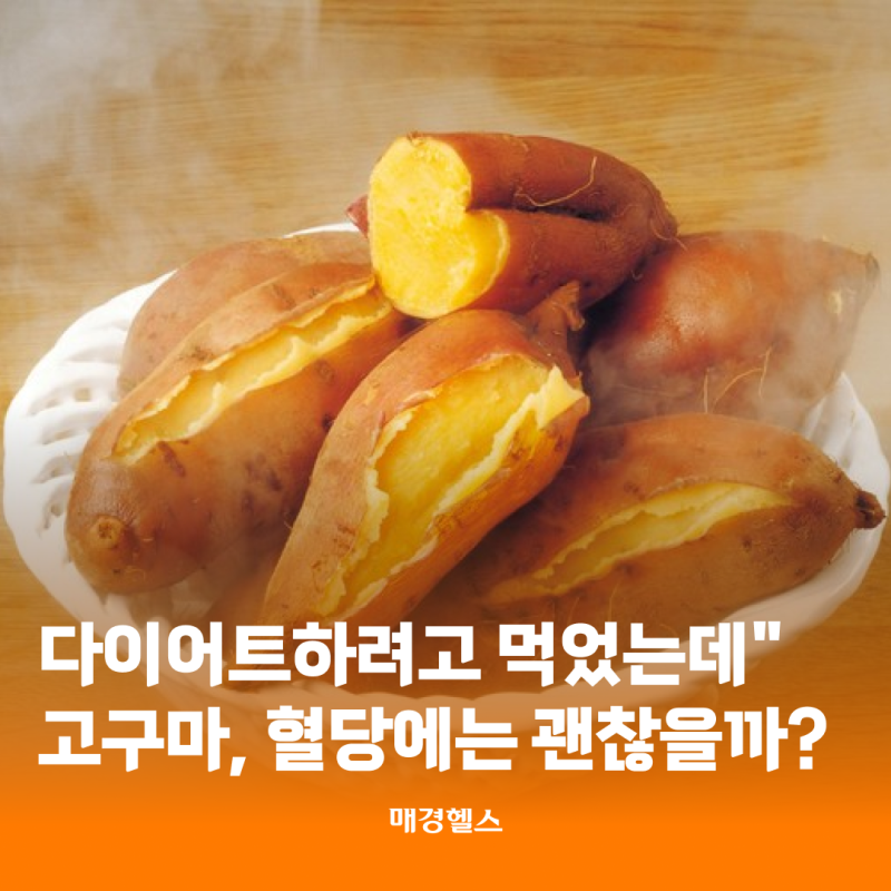 "다이어트하려고 매일 먹었는데"…고구마, 혈당에는 괜찮을까?