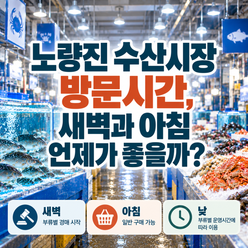 노량진 수산시장 몇 시에 가야 하나? 새벽·아침·낮 차이