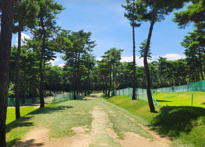 울산 쇠평파크골프장 전화예약 방법·운영시간·주차 총정리 ⛳