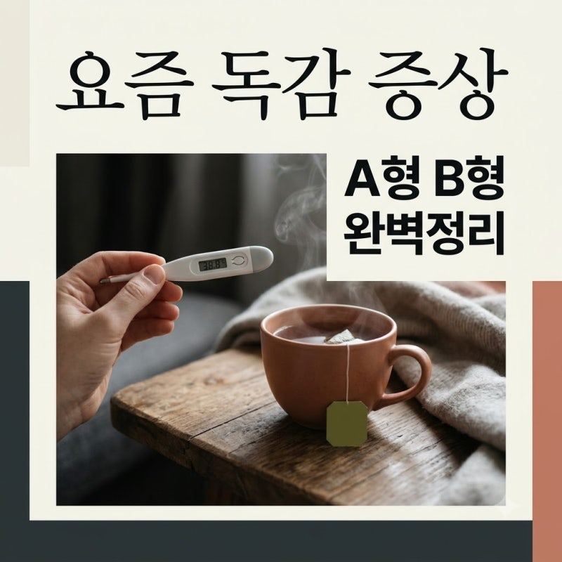 요즘 독감 증상 순서와 A형 B형 차이점 응급 신호 총정리