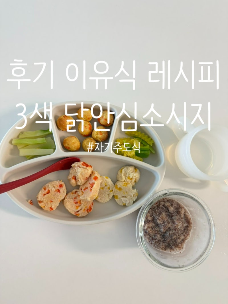 [후기이유식] 10개월 자기주도 이유식 레시피 | 3색 닭안심소시지