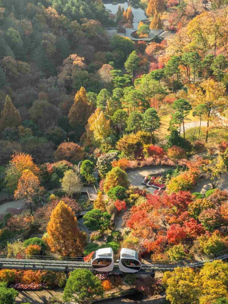 경기도 광주 가볼만한곳 추천 | 2026 화담숲 예약 가을 단풍 시기 | 필수 꿀팁 총정리