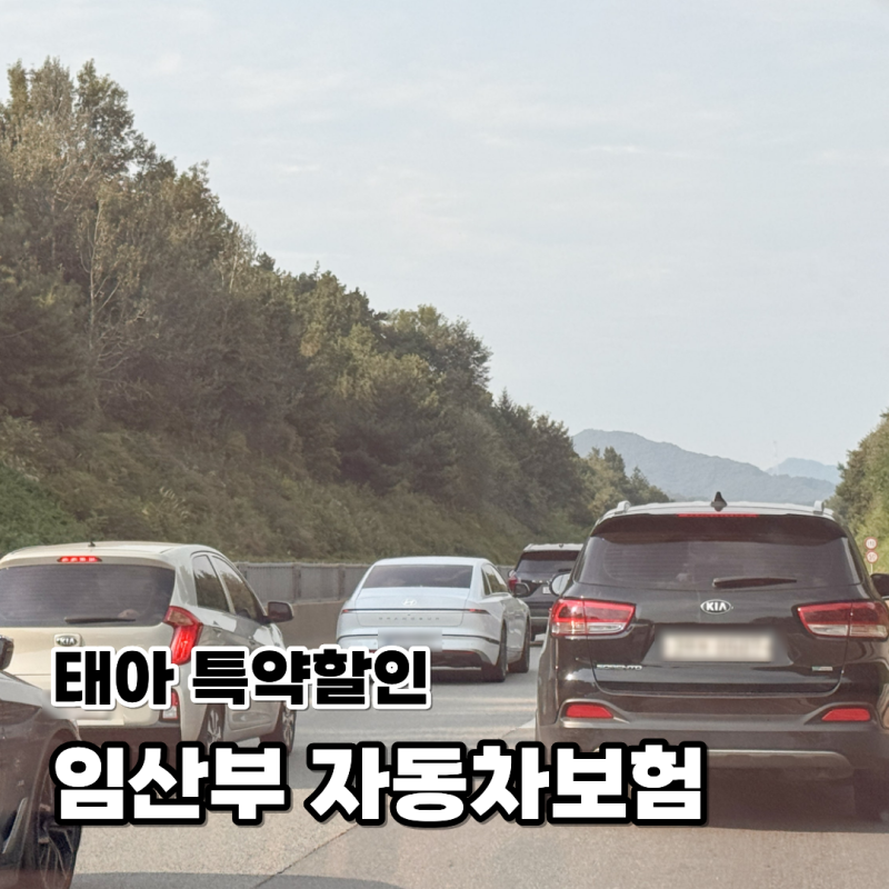 임산부 자동차보험 태아 특약 할인 배우자 적용 보험료 환급 관련 서류