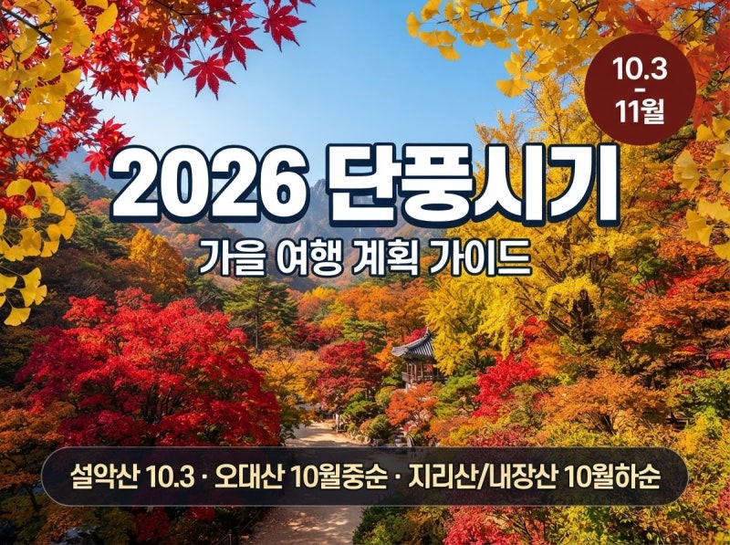 설악산부터 화담숲까지, 2026년 단풍 시기와 명소 정보 한눈에 보기!