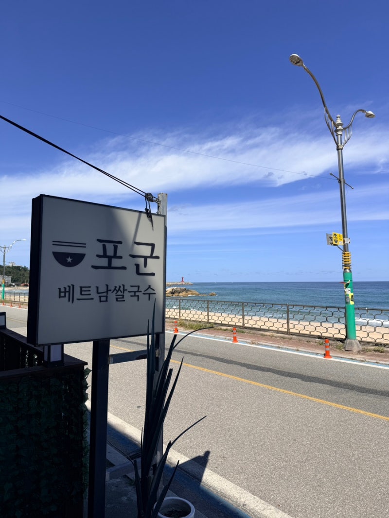 강원도 양양 애견동반식당 포군 베트남 쌀국수 오션뷰 맛집