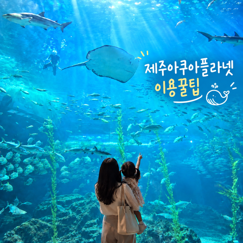 제주 아쿠아플라넷 아쿠아리움 서귀포관광지 할인 예매팁
