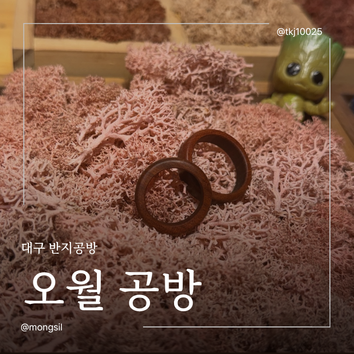 나무 반지 만들기 체험이 가능한 대구 반지공방 '오월 공방'