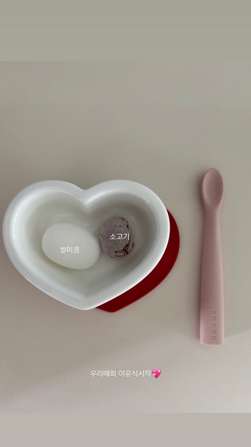6개월 아기 초기 이유식 식단표 (1) - 쌀미음, 소고기, 오트밀