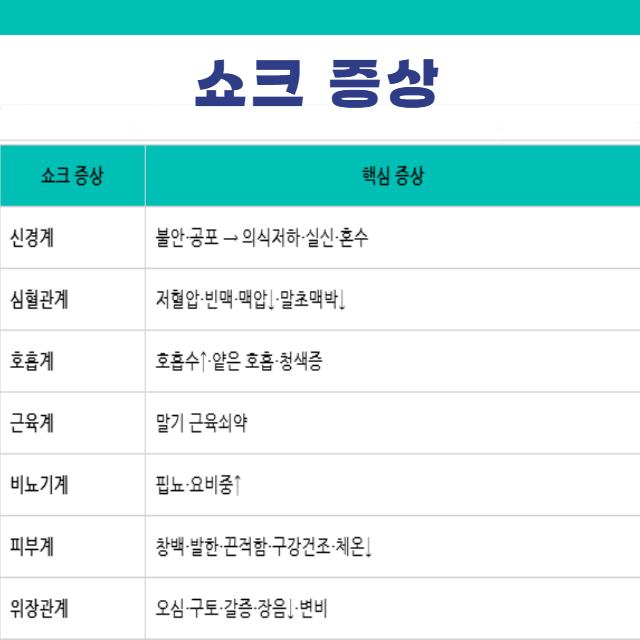 쇼크 증상