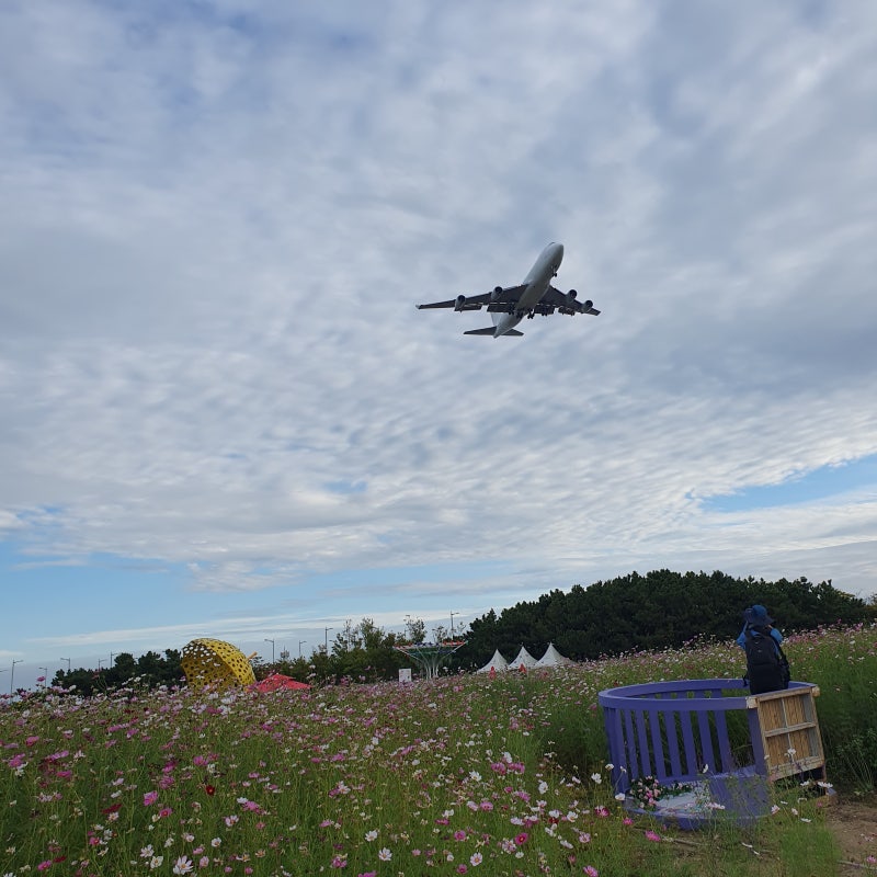 [인천공항 2터미널 1편] 비상 편의시설 총정리 (병원·약국 위치, 짐보관·택배, 무인민원발급....