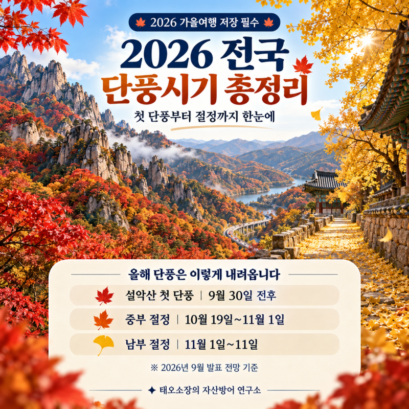 2026 전국 단풍시기 총정리｜설악산·내장산 첫 단풍과 절정, 전국 단풍명소 추천