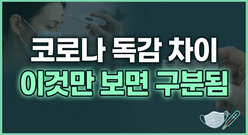 코로나 독감 증상 구분법: 격리 기준, 약 복용법, 진단 키트 정확도 비교