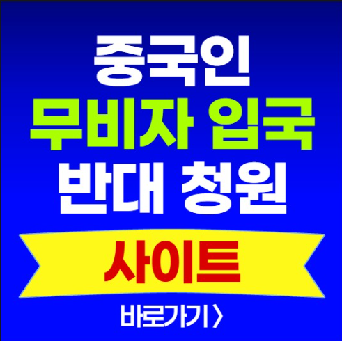 중국인 무비자 입국 반대 청원 사이트 링크 국민동의 방법