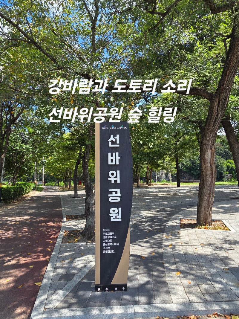 울산 아이와 가볼만한곳 울주군선바위공원 ｜도담도담 숲체험원에서 즐긴 숲 힐링 한낮에 ....
