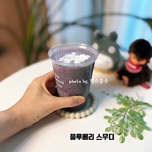 아침 대용 3분 완성! 블루베리 스무디 레시피 블루베리바나나주스 만들기