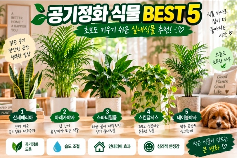 집 안 분위기까지 살리는 공기정화 식물 BEST 5