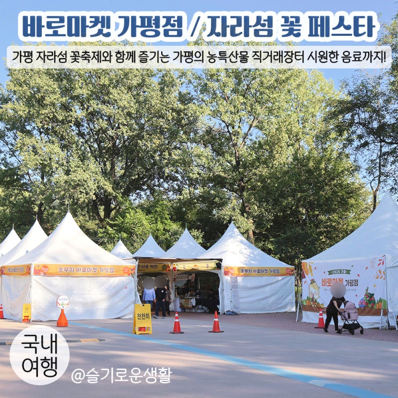가평 자라섬 꽃축제 2026년 9월 / 가평 먹거리 직거래장터 / 가을 바로마켓 가평점