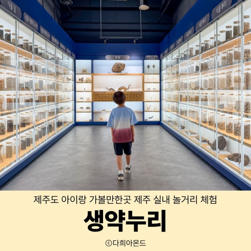제주도 아이랑 가볼만한곳 제주 실내 놀거리 체험 생약누리