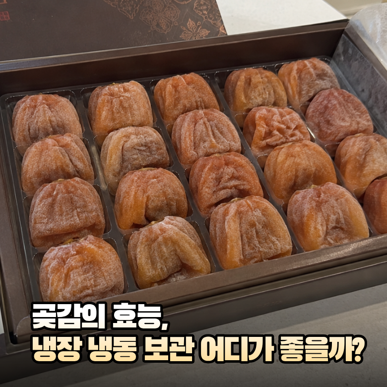 곶감의 효능부터 보관방법까지, 냉장 냉동 어떻게 할까?