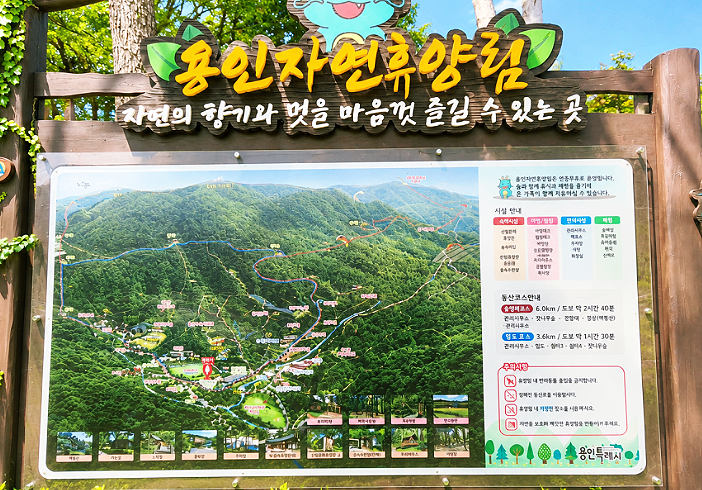 용인 가을여행 추천｜용인 가볼만한곳 단풍명소·드라이브 코스