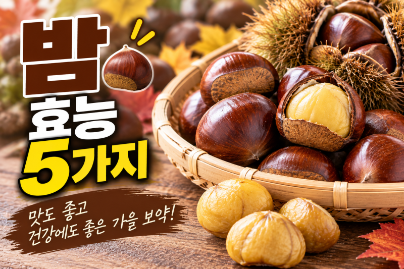 밤 효능 5가지｜추석 햇밤의 영양부터 칼로리·탄수화물과 먹는 양까지