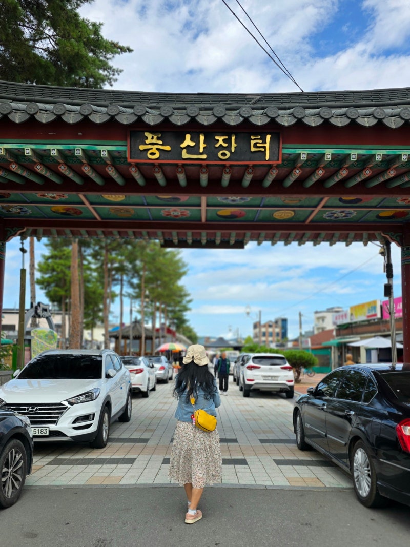 안동 여행 추천 풍산장터 5일장 정겨운 시골 감성 가득