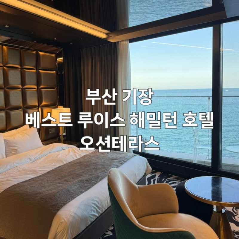 부산 기장 오션뷰숙소추천 베스트루이스해밀턴호텔 오션테라스 재방문 후기