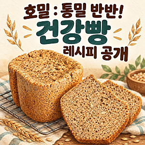 가정용 오성 웰텍 제빵기로 만드는 호밀빵 통밀빵 건강빵 레시피 정착기