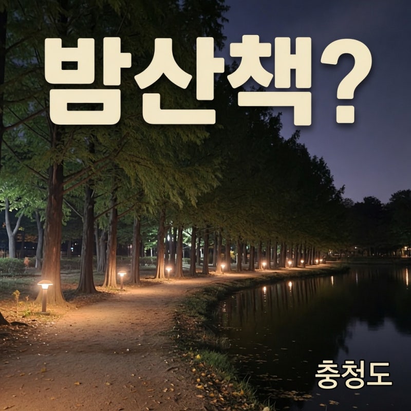 춘천 남이섬 강촌 1박 숙소 추천｜밤 산책이냐 반려견 동반이냐?