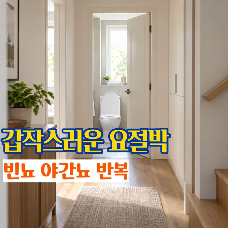 과민성방광증후군 소변 자주 마려운 과민성방광증상과 치료방법