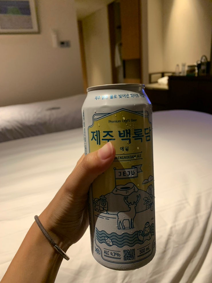 제주 롯데시티호텔 조식 수영장 숙박 솔직후기