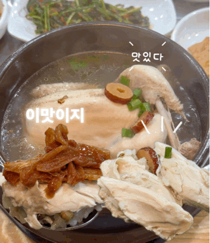 광주 광산구 현지인 맛집 삼계탕 맛집 [진미식당]