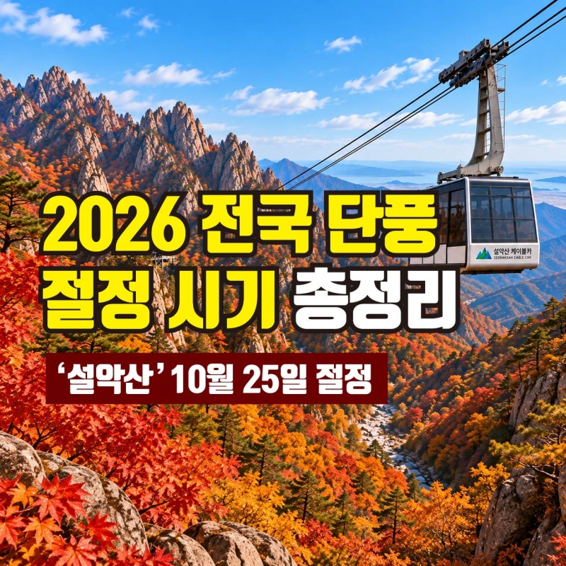 2026 단풍시기 총정리, 설악산부터 화담숲·내장산까지 전국 절정 예상일