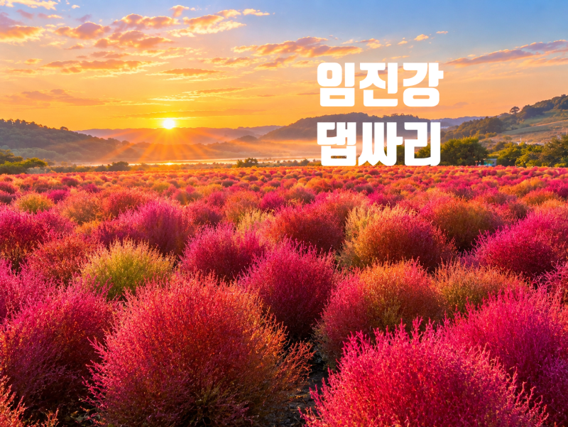 가을당일여행 추천코스 연천 댑싸리공원 재인폭포 호로고루까지 연천풍경3곳 정리