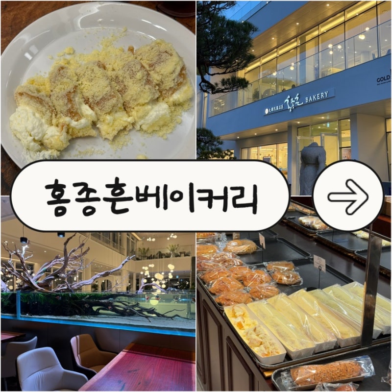 천안 홍종흔, 화이트롤 맛있는 유량동 베이커리 카페 솔직한 맛 평가 / 메뉴 추천